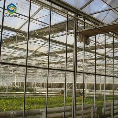 China Agricultural Glass Venlo Type Greenhouse Wind Resistance Professional Installation for sale