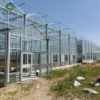 China Venlo Multi Span Custom Glass Greenhouse Voor groentehouderij Te koop