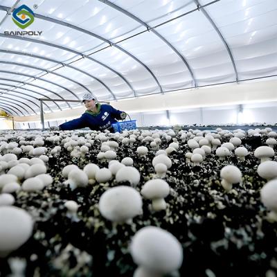 China Electrical Control Mushroom Growing Greenhouse With Hot Galvanizing Pipe Structure for sale