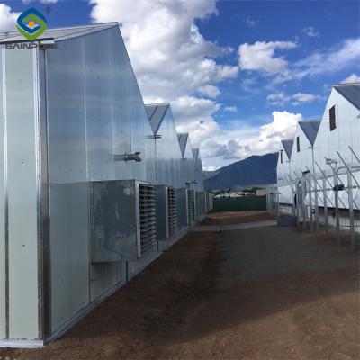 China Fully Automated Light Deprivation Greenhouses With Blackout System For Herb for sale