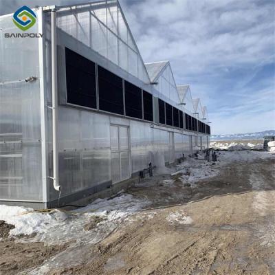 China Snow Resistance Polycarbonate Film Greenhouse 100% Darkness Easy To Install for sale