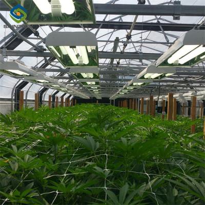 China Electric Type Full Dark Blackout Greenhouse For Agricultural Commercial for sale