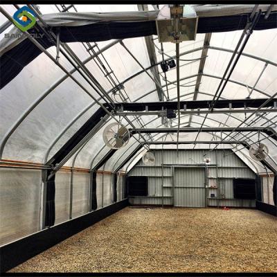 China Single Span Black Out Greenhouse Light Deprivation Single Arch Tunnel Greenhouse for sale