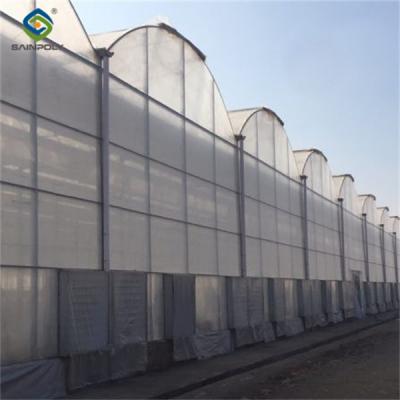 China Large Plastic Covering Greenhouse Economical Solution For Agricultural for sale