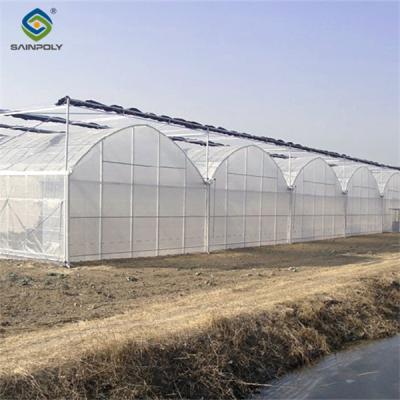 China Commercial Intelligent Greenhouse Continuous Skeleton Vegetable Greenhouse for sale