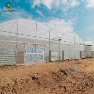 China High Performance Commercial Greenhouses 30m/50m/60m Or Customized Length for sale