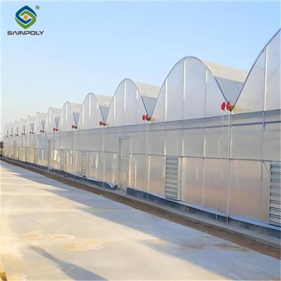 China Customized Commercial Greenhouse Vegetable Production For Pepper And Cucumber for sale