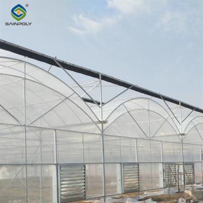 China Agricultural Multi Span Greenhouse Strong Structure For Tomato Planting for sale