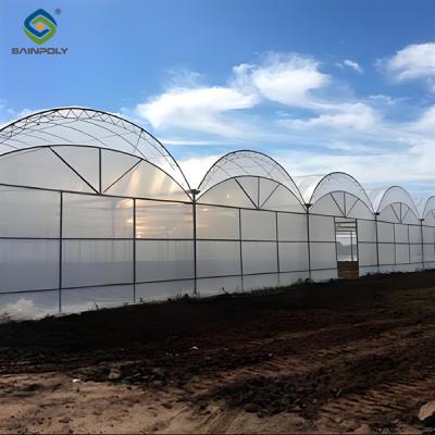 China Commercial Multi Span Greenhouse Plastic Film Greenhouse For Vegetable Growing for sale