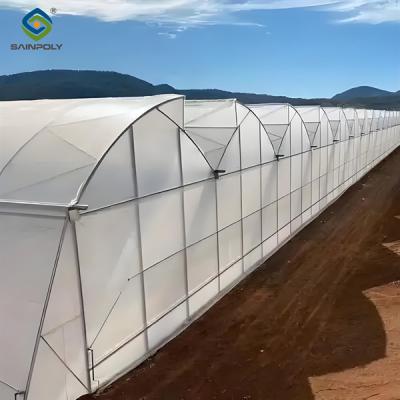 China Galvanized Steel Frame Greenhouse multi span greenhouse Film Covering Space Efficient for sale