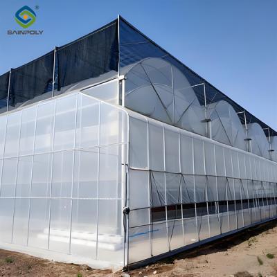 China Economical Commercial NFT Hydroponic Greenhouse Plastic Film Greenhouse for sale