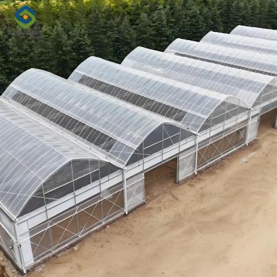 China OEM  Commercial Polycarbonate Greenhouse Kits Single Span Greenhouse Vegetable Seeding for sale