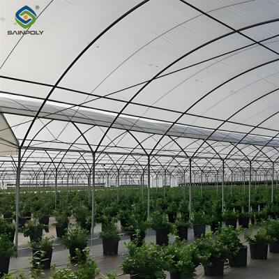 China Galvanized Frame Strong Structure Blueberry Greenhouse Farming Single Layer for sale