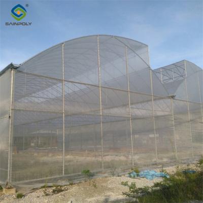 China Practical Po Film Gothic Greenhouse Multispan Agriculture Greenhouse for sale