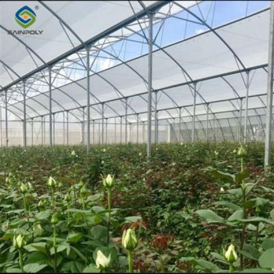 China Customization Commercial Gothic Type Greenhouse With Electric Systems for sale