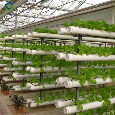 China Customization Hydroponic System Greenhouse With Rolling Benches for sale