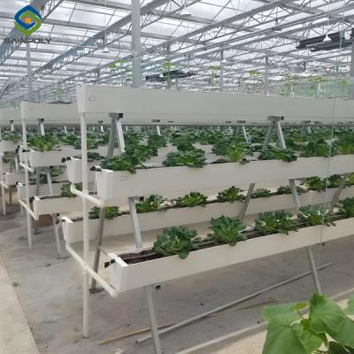 China Substrate Cultivation Outdoor Hydroponics Greenhouse Weather Resistance for sale