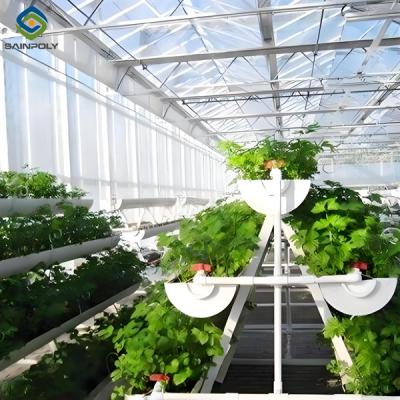 China Large Size Hydroponic Farming Greenhouse For Vegetable Fruits Growth for sale