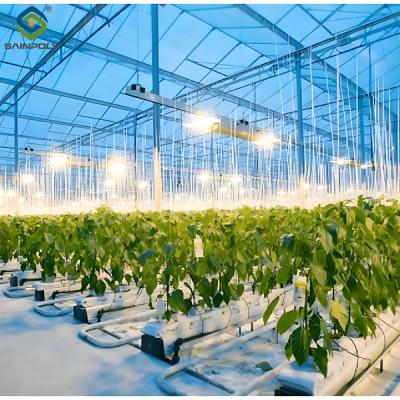 China High Yield Large Vertical Hydroponic Greenhouse Soilless Cultivation for sale