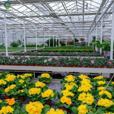 China Waterproof Flower Greenhouse Multi Span Greenhouse With Strong Load Bearing for sale