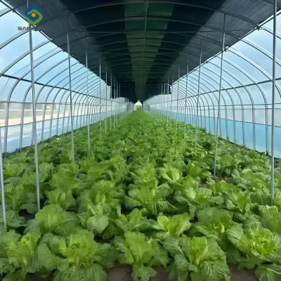 China PVC Gutter Soilless Culture Hydroponic Lettuce Greenhouse Anti Corrosion for sale