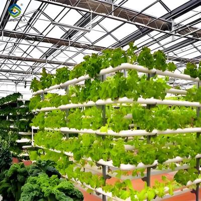 China Sistema hidropónico resistente às intempéries Estufas multispan para plantação à venda