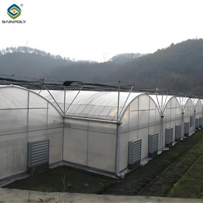 China Polycarbonate Covering Multi Span Greenhouse With Galvanized Steel Structure for sale