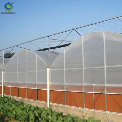 China Hydroponic Glass / Pc Sheet Greenhouse With Tomato Growing System Large for sale