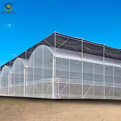 China Heavy Duty Commercial Greenhouse With PE PO PEP Film Covering Wind Resistant for sale