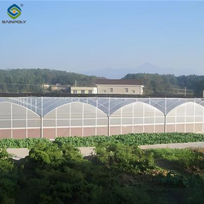 China Stable Structure Agricultural Multi Span Greenhouse 30-100m Length for sale