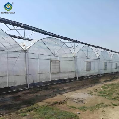 China Galvanized Steel Multispan Commercial Polycarbonate Greenhouse Customized Length for sale