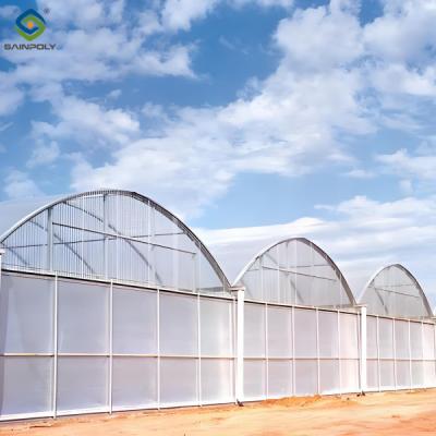 China 30m/50m/60m Length Galvanized Steel Greenhouse Multi Span Greenhouse for sale