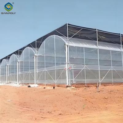 China Computerized Control Agriculture Commercial Greenhouse Space Efficient for sale