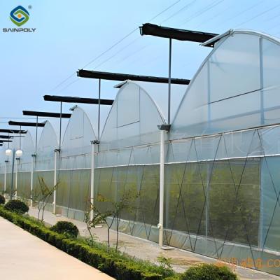 China Agricultural Multi Span Poly Film Greenhouse Stable Hydroponic Growing Systems for sale