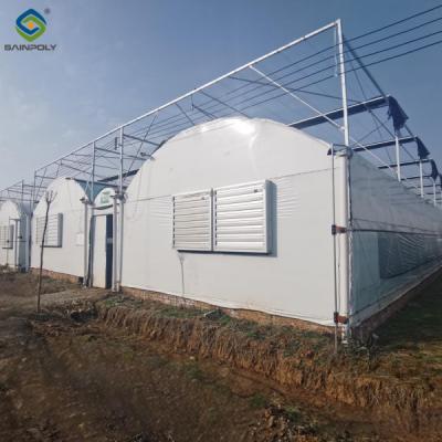 China Multispan Vegetable Growing Greenhouse Commercial Tunnel Greenhouse for sale