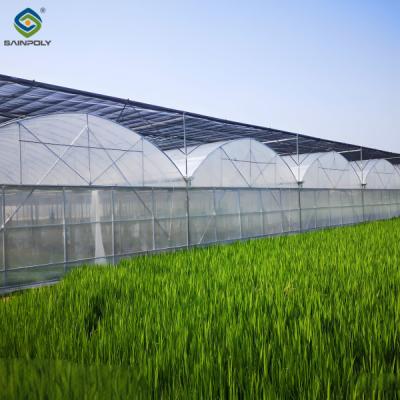 China Estufas Morden Multi-Span Resistentes ao Calor para Agricultura Comercial à venda