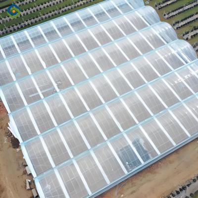 China Sainpoly Large Commercial Greenhouse With Hydroponic Growing System for sale