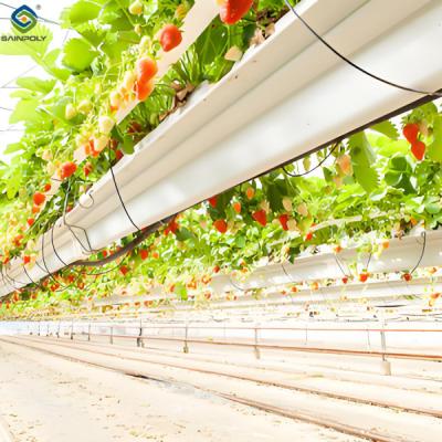 China Stable Energy Saving Strawberry Greenhouses With Heating Cooling System for sale