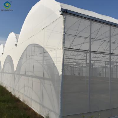 China Polycarbonate Mushroom Growing Greenhouse Multispan Farming Green House Cultivation for sale