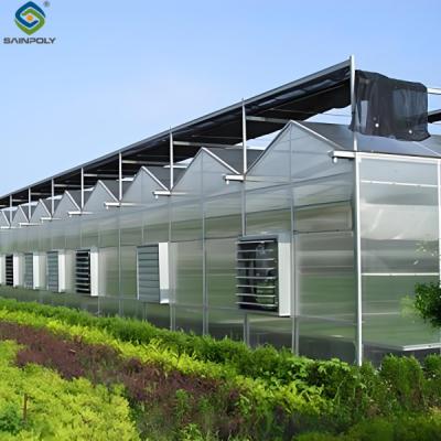 China Venlo Style Polycarbonate Farming Green House Customizable Size for sale