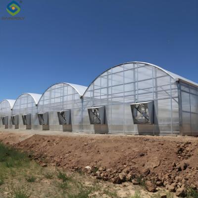 China Multi Wall Polycarbonate Gothic Style Greenhouse With Hollow Sheet for sale