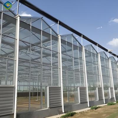 China Anti Reflective Automatic Venlo Glass Greenhouse With Agricultural Farming Systems for sale