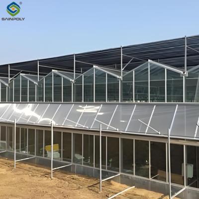 China Invernadero de vidrio comercial de cultivo agrícola con sistema hidropónico de ancho 9,6 m en venta
