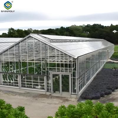 China Tropical Multispan Agriculture Greenhouses Industrial Victorian Greenhouse for sale