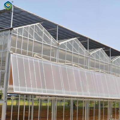 China Smart Multi Span Venlo Glass Greenhouse Solar Photovoltaic Greenhouses Fruit Planting for sale