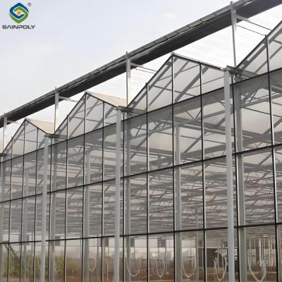 China Modern Venlo Greenhouse Farming Commercial Glass Greenhouse With Steel Frame for sale