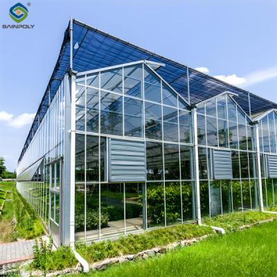 China Strong Structure Galvanized Venlo Type Greenhouse Commerical Green House for sale