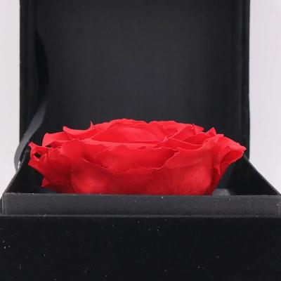 China Ecuador Eternal rose luxury gift 10cm preserved rose in Velvet box  preserved rose for sale