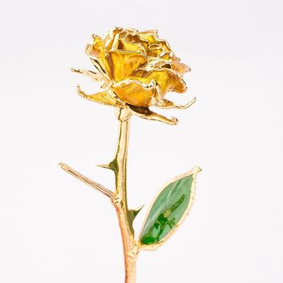 China Wholesale OEM/ODM Real Preserved Rose Dipped In Gold Rose 24k Gold Roses for sale