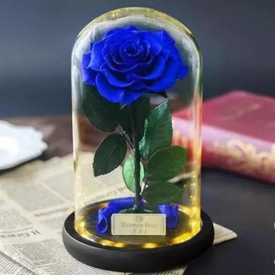 China Long life Glass Cover Preserved Real Fresh Forever Rose in Glass for sale